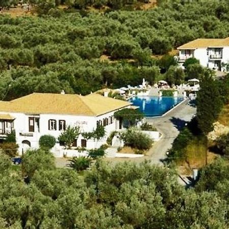 Alkistis Hotel Skopelos Extérieur photo