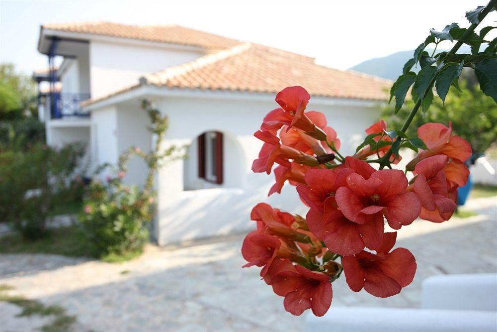 Alkistis Hotel Skopelos Extérieur photo